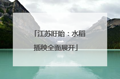 江苏盱眙：水稻插秧全面展开